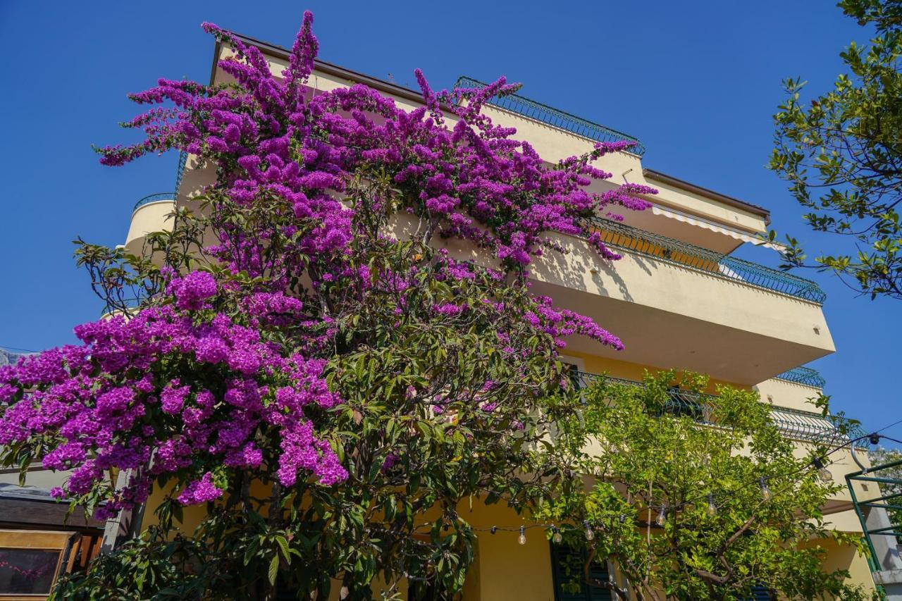 Villa Lean Makarská Exteriér fotografie